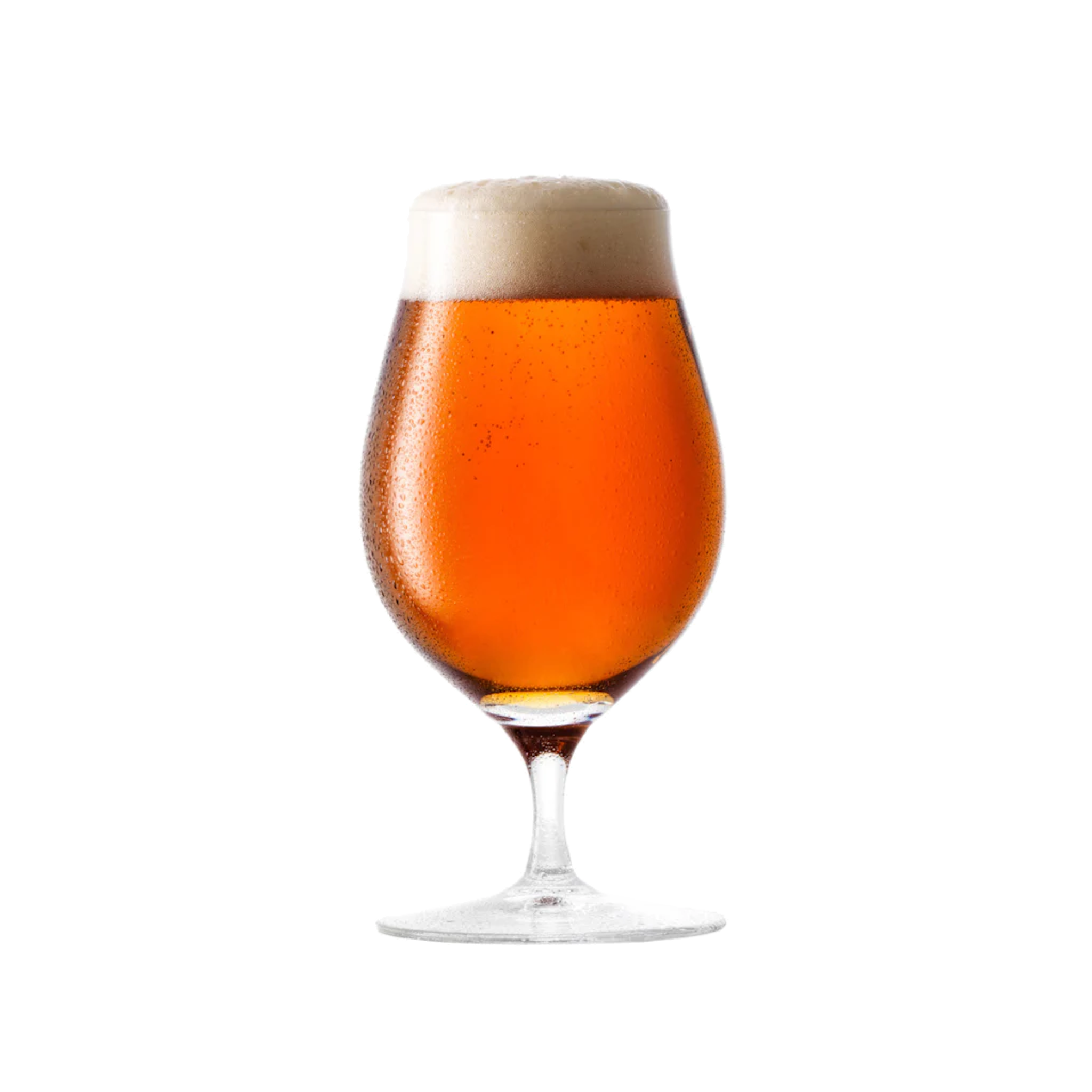 Jump/Ship - Flying Colours Pale Ale
