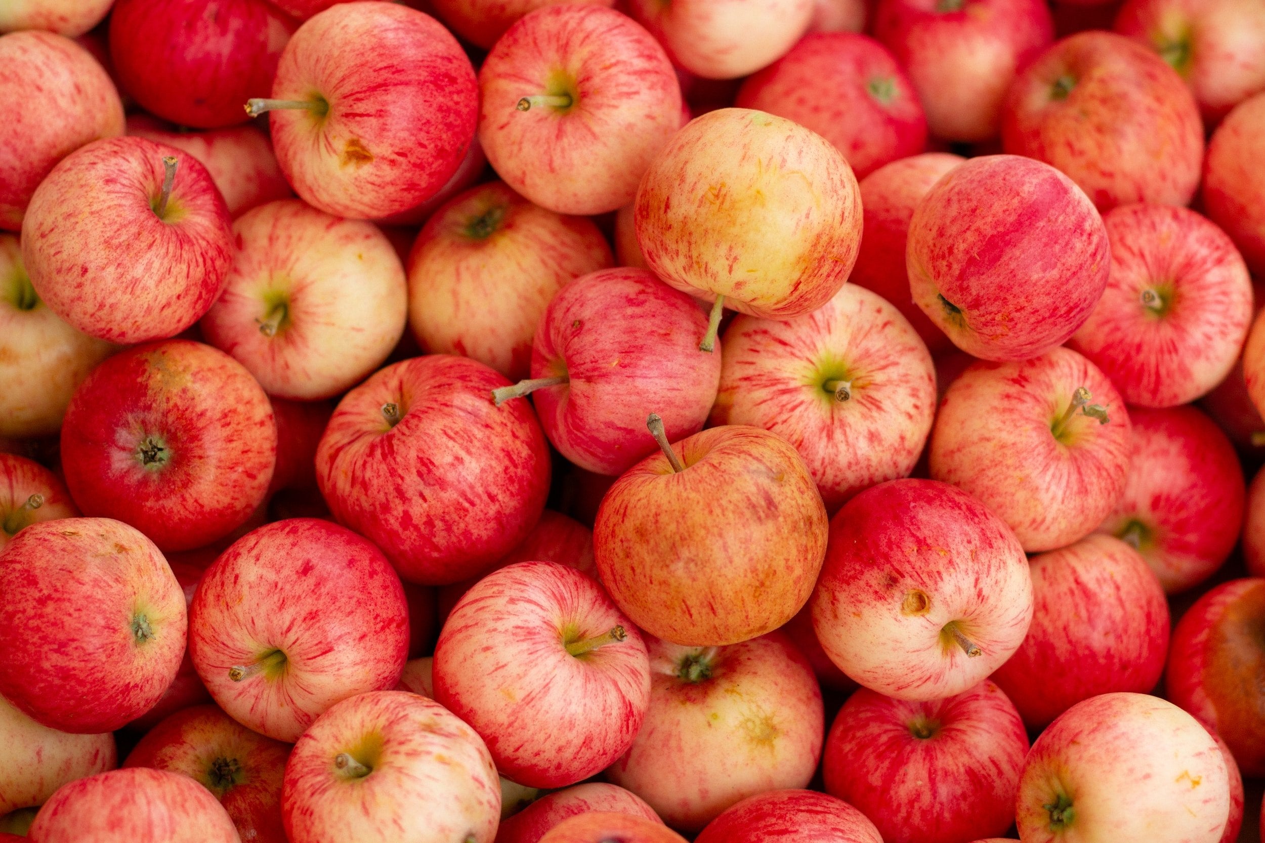 Dead Horse Cider - Red Apple